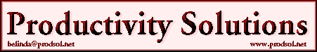 Productivity Solutions - Web Design for Everyone